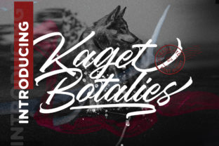 Refining Editorial Identity with Botalies Kagetan Script