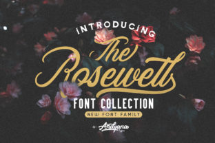 Rosewell Family Font Review: Elegant Script for Designers