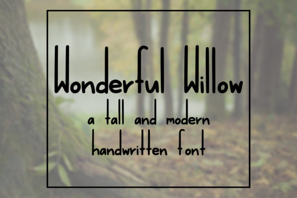 Wonderful Willow: The Tall Skinny Font for Modern Brands